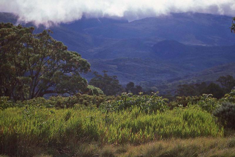 WT 1400 213-12 Kenya.jpg